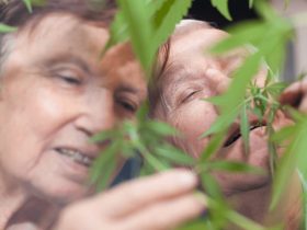 cbd alzheimer